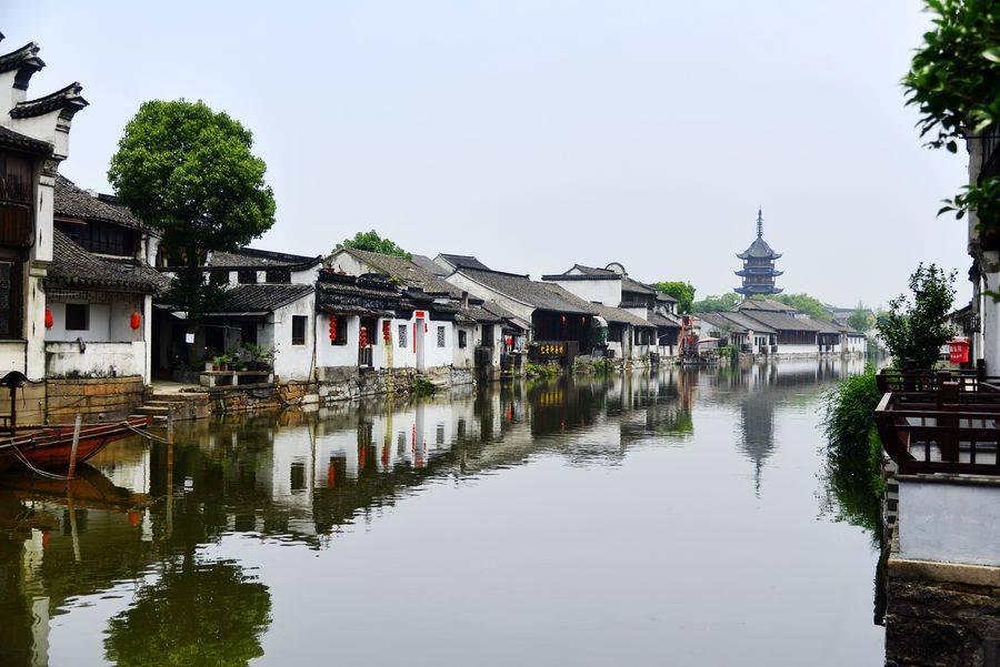 ”见行见效 津彩绽放”活动参赛作品：我为大姨测血氧